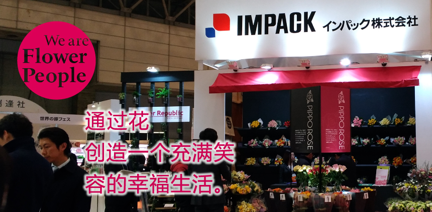 impack main photo first