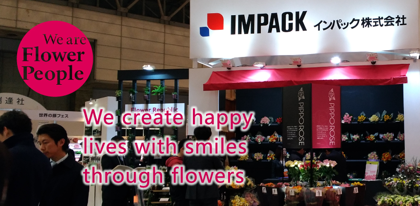 impack main photo first